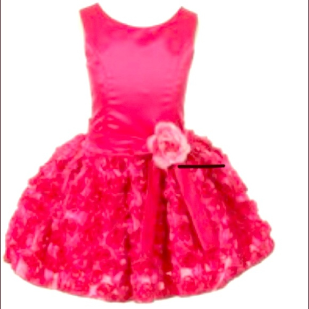 Girls Fuchsia Satin Embroidered Rosette Dress 8